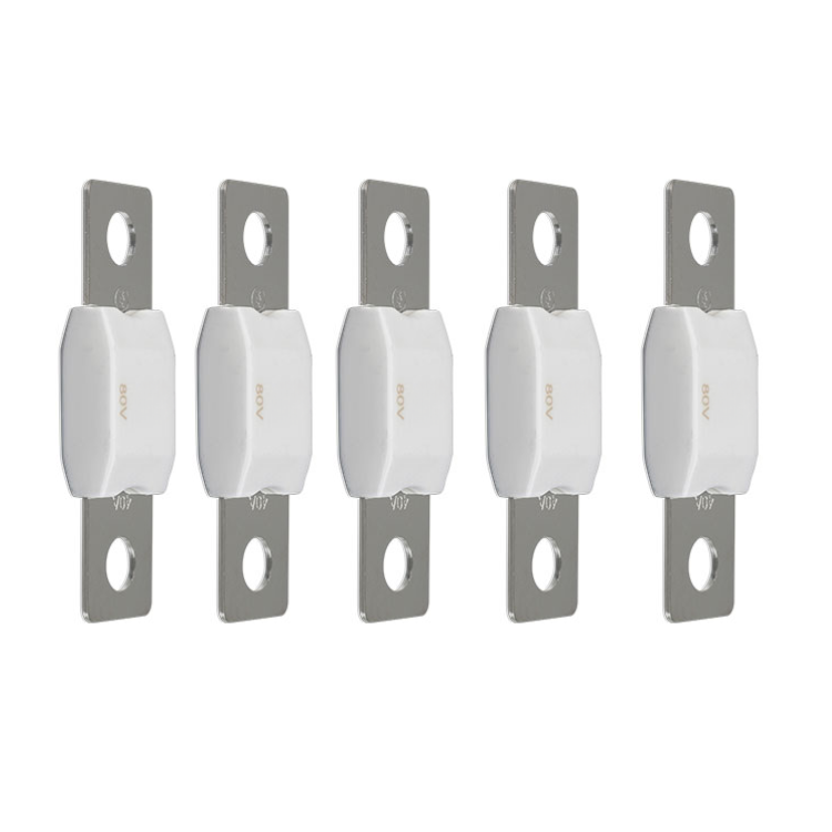 Victron MEGA-fuse 80 A/80 V (Pack of 5)